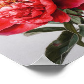 Red Peongs Blume Art Print Poster (Ecke)