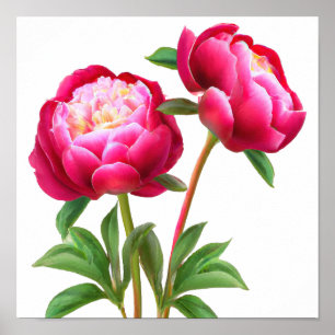 Red Peony Blume Art Print Poster