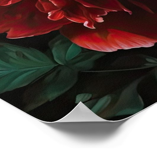 Red Peony Blume Art Print Poster (Ecke)