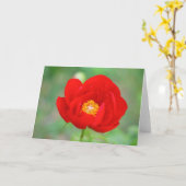 Red Peony Blume Karte (Gelbe Blume)