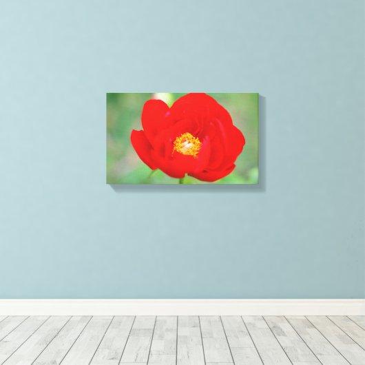 Red Peony Blume Leinwanddruck (Insitu (Holzboden))