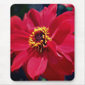 Red Peony Blume Mousepad (Vorne)