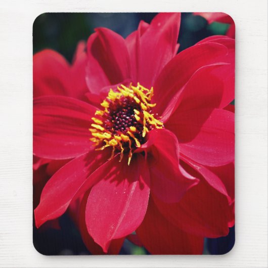 Red Peony Blume Mousepad (Vorne)