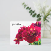 Red Peony Postcard Postkarte (Stehend Vorderseite)