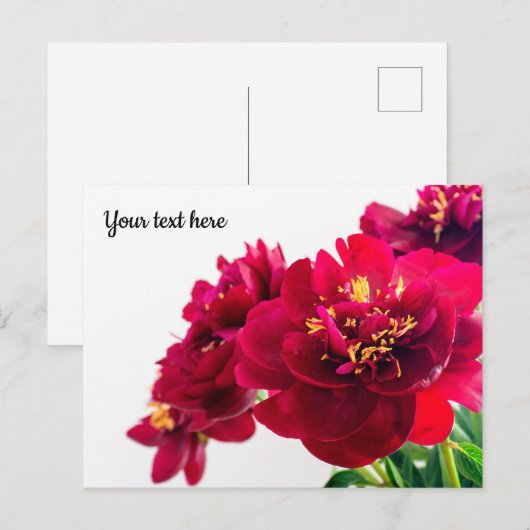 Red Peony Postcard Postkarte (Vorne/Hinten)