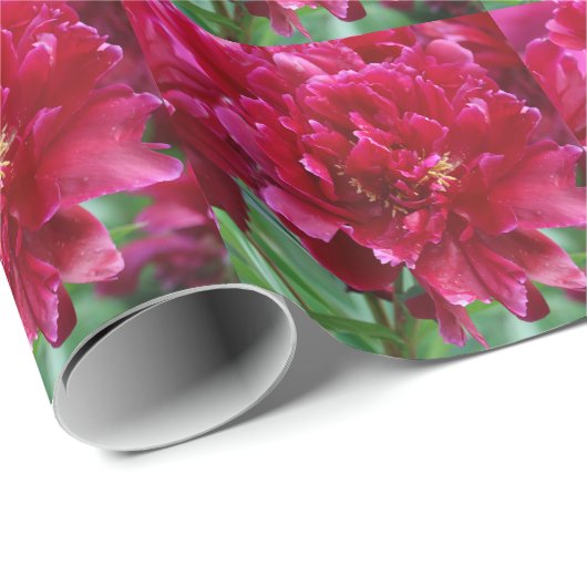 Red Peony Wrapping Paper Geschenkpapier (Rolleneckpunkt)