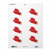 Red Pepper (Vorne)