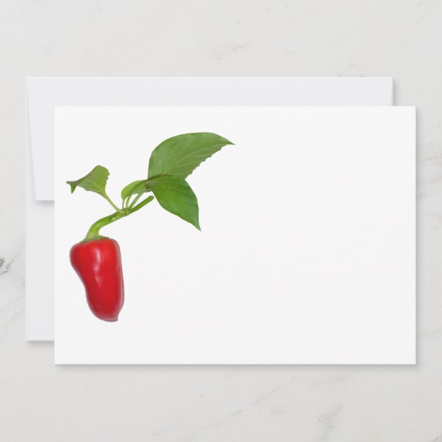 Red Pepper (Vorderseite)