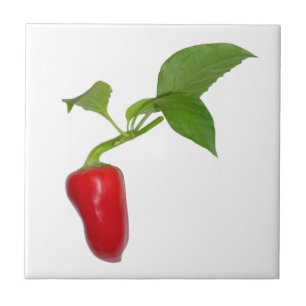 Red Pepper Fliese