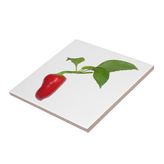 Red Pepper Fliese (Seite)
