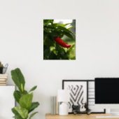 Red Pepper im Regen Poster (Heimbüro)