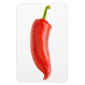 Red Pepper Magnet (Vertikal)