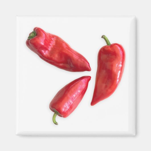 Red Pepper Magnet (Vorne)