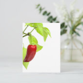 Red Pepper Postkarte (Stehend Vorderseite)