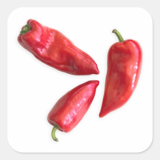 Red Pepper Quadratischer Aufkleber (Vorderseite)