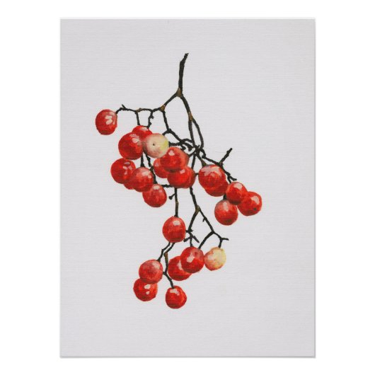 Red Peppercorns - Botanical Study 1 Poster (Vorderseite)