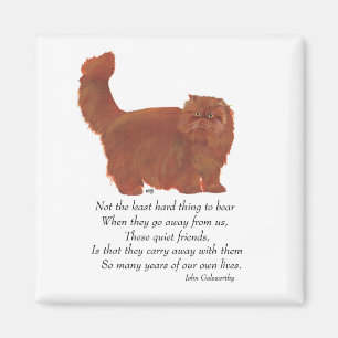 Red Persian Cat Rainbow Bridge Magnet