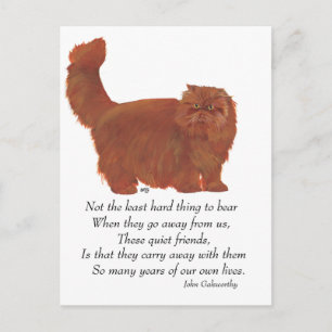 Red Persian Cat Rainbow Bridge Postkarte