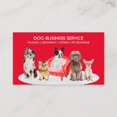 Red Pet Sitter Hunde Zuhause Hotel Visitenkarte (Vorderseite)