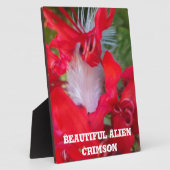 Red Petal Feather Art Print Fotoplatte (Seite)