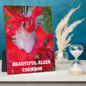 Red Petal Feather Art Print Fotoplatte (Seite)