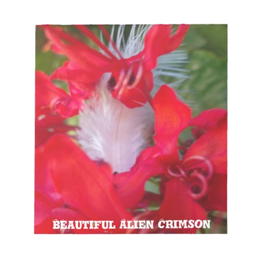Red Petal Feather Art Print Notizblock (Vorderseite)
