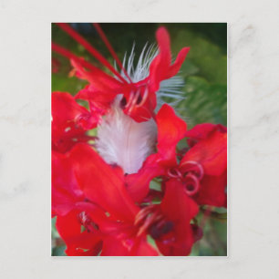 Red Petal Feather Art Print Postkarte