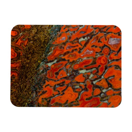 Red Petrified Dinosaur Bone Magnet (Horizontal)