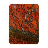 Red Petrified Dinosaur Bone Magnet (Vertikal)