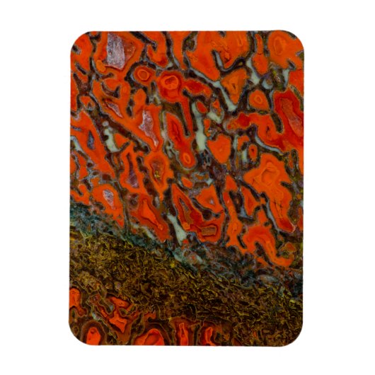 Red Petrified Dinosaur Bone Magnet (Vertikal)