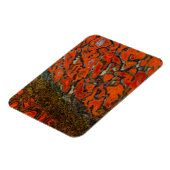 Red Petrified Dinosaur Bone Magnet (Linke Seite)
