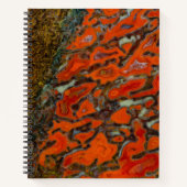 Red Petrified Dinosaur Bone Notizblock (Vorderseite)