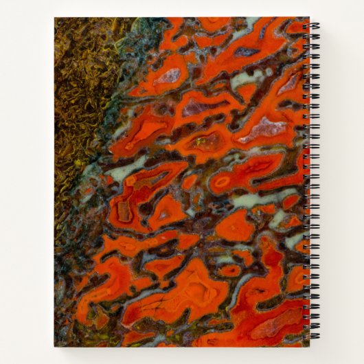 Red Petrified Dinosaur Bone Notizblock (Rückseite)