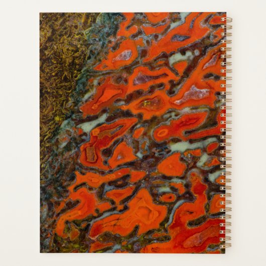 Red Petrified Dinosaur Bone Planer (Rückseite)