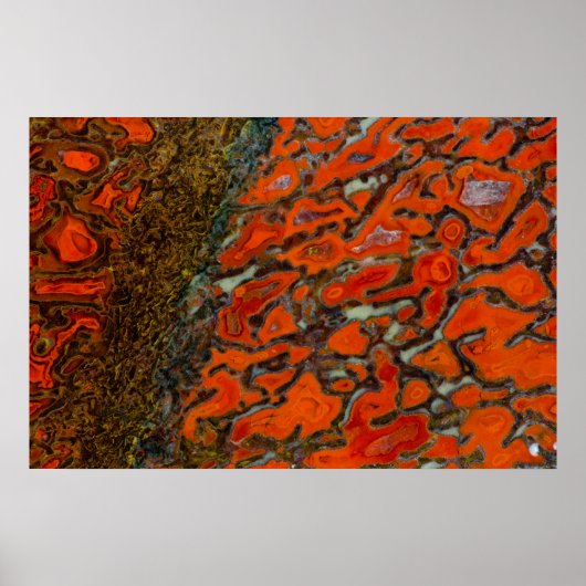Red Petrified Dinosaur Bone Poster (Vorne)