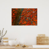 Red Petrified Dinosaur Bone Poster (Küche)