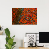 Red Petrified Dinosaur Bone Poster (Heimbüro)