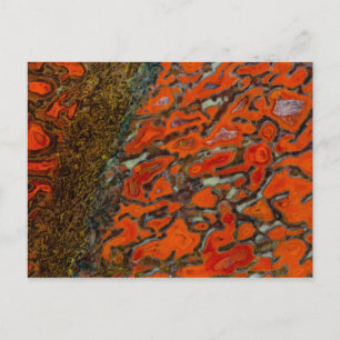 Red Petrified Dinosaur Bone Postkarte