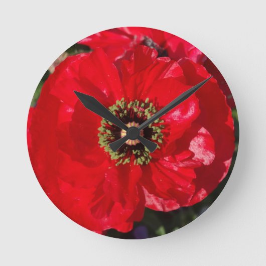 Red Photo of a beautiful poppy flower  Runde Wanduhr (Vorderseite)