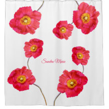 Red Pink Modern Poppies Poppy Blume Weiß