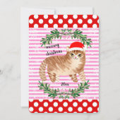Red Pink Snowflakes Katze Frohe Weihnachten Karte (Vorderseite)