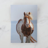 Red Pinto Stallion springt Wild Horse Grußkarte Karte (Innenseite)
