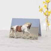 Red Pinto Stallion springt Wild Horse Grußkarte Karte (Gelbe Blume)