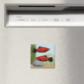 Red Platies Tropical Fish Nature Aquarium Magnet (In Situ (Geschirrspüler))