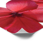 Red Plumeria Frangipani Hochzeitskarte Poster (Ecke)