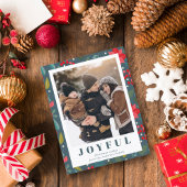 Red Poinsettia Blumengrün Foto Weihnachten