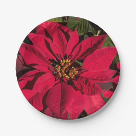 Red Poinsettia Christmas Party Pappteller