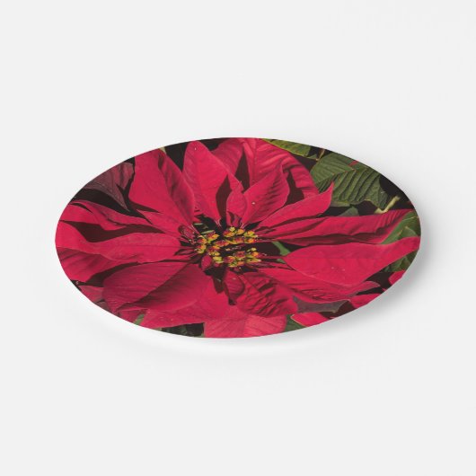 Red Poinsettia Christmas Party Pappteller (Schrägansicht)