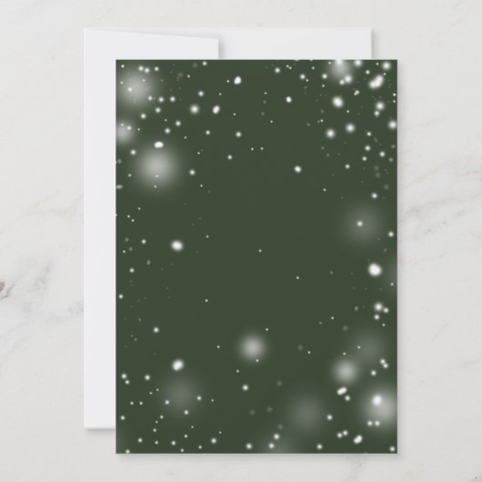 Red Poinsettia Evergreen Snow Weihnachts-Party Einladung