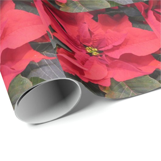 Red Poinsettia Gloss Wrapping Paper Geschenkpapier (Rolleneckpunkt)